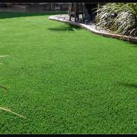 Landscaping Artificial Turf natural looking Leisure Synthetic Grass